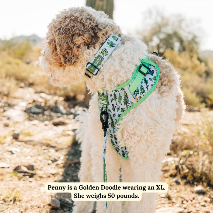 Lucy & Co. x Parks Project Feel the Earth Breathe No-Pull Harness
