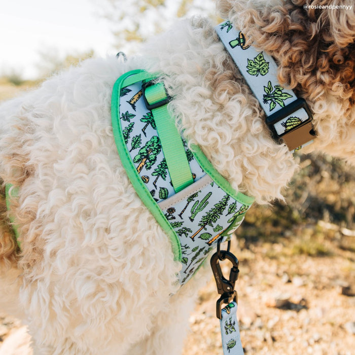 Lucy & Co. x Parks Project Feel the Earth Breathe No-Pull Harness