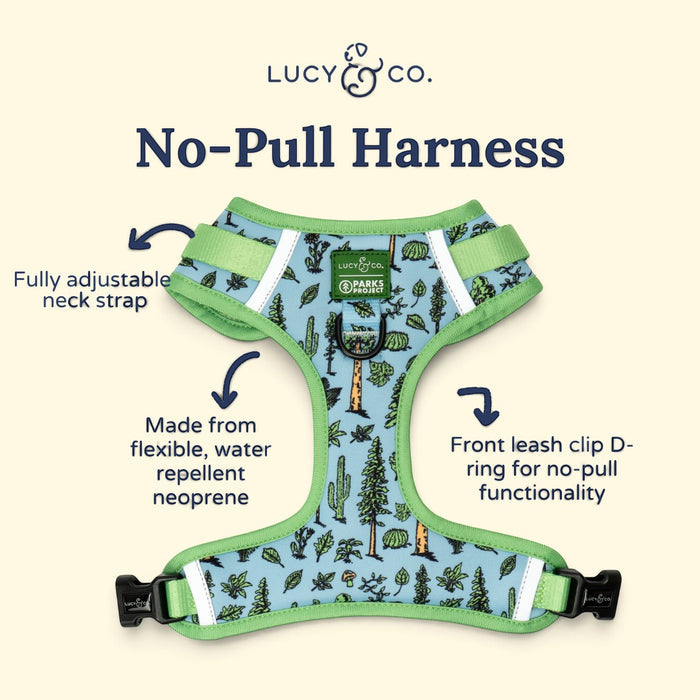 Lucy & Co. x Parks Project light blue neoprene dog harness with a forest and cactus print and adjustable straps.