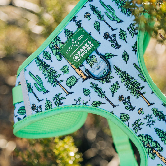 Lucy & Co. x Parks Project Feel the Earth Breathe No-Pull Harness