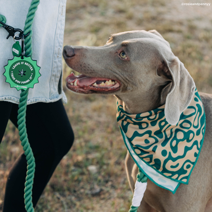 Lucy & Co. x Parks Project Fern Hands-Free Rope Leash