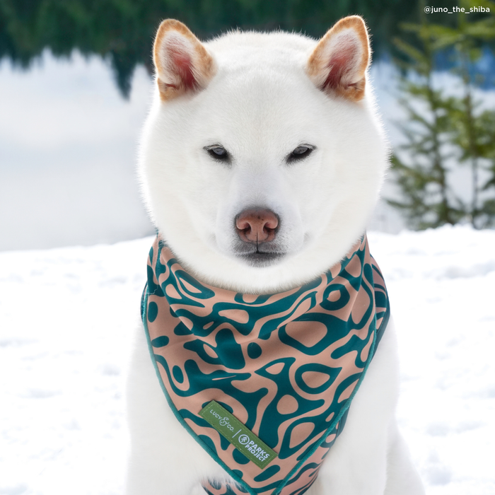 Lucy & Co. x Parks Project Geyser Bandana