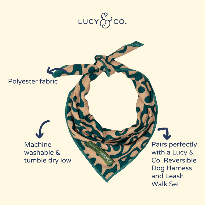 Lucy & Co. x Parks Project Geyser Bandana
