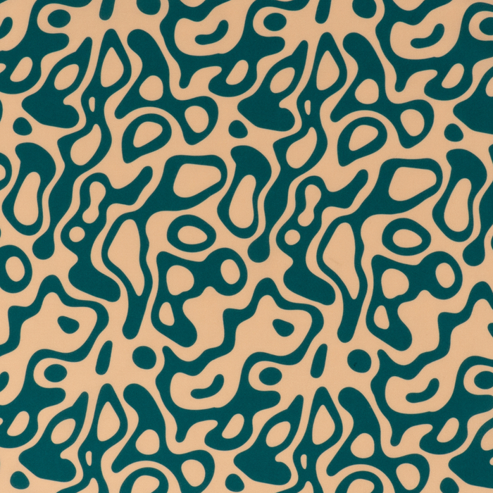 Lucy & Co. x Parks Project Geyser Bandana