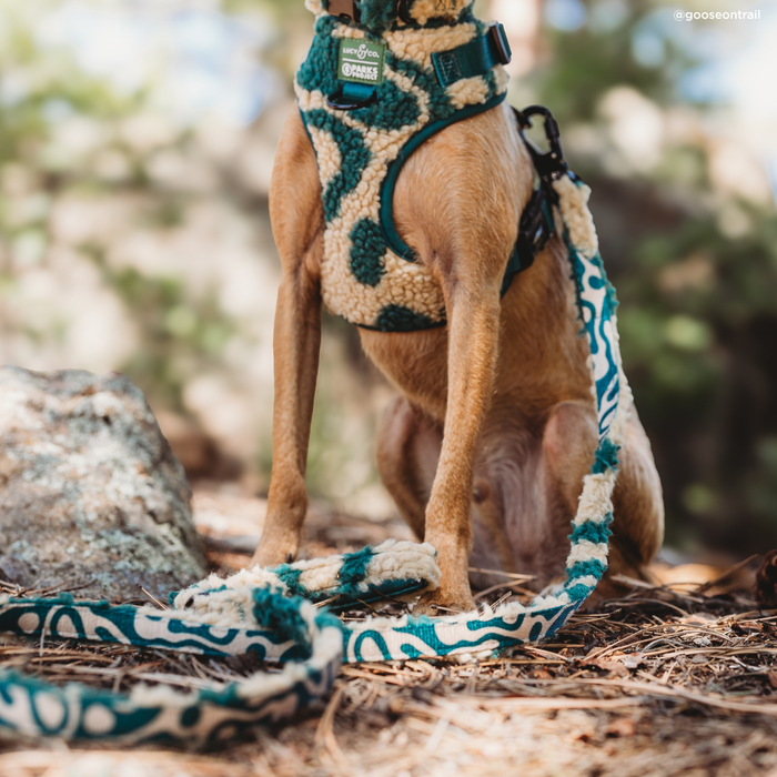 Lucy & Co. x Parks Project Geyser Fleece Leash