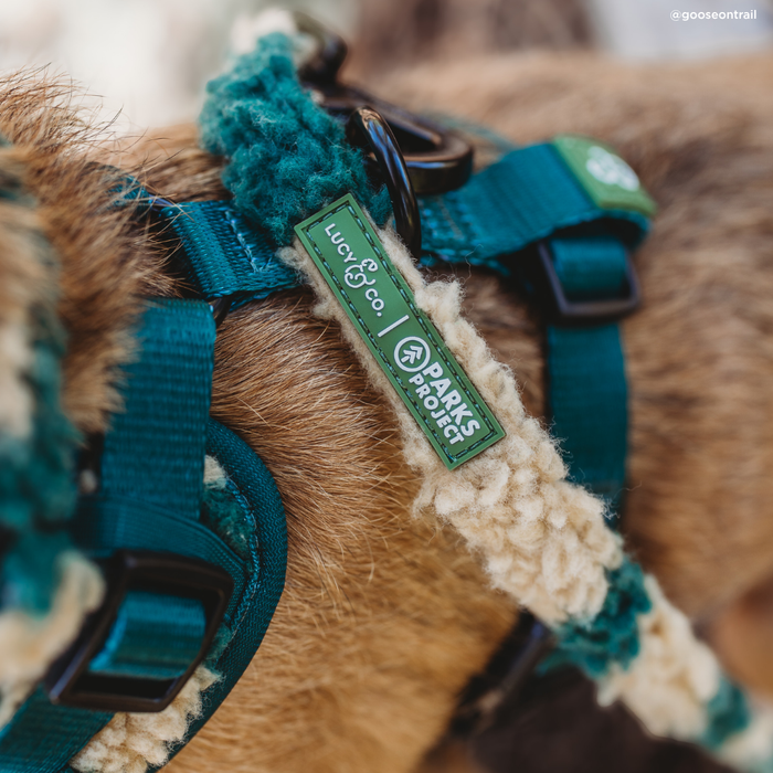 Lucy & Co. x Parks Project Geyser Fleece Leash