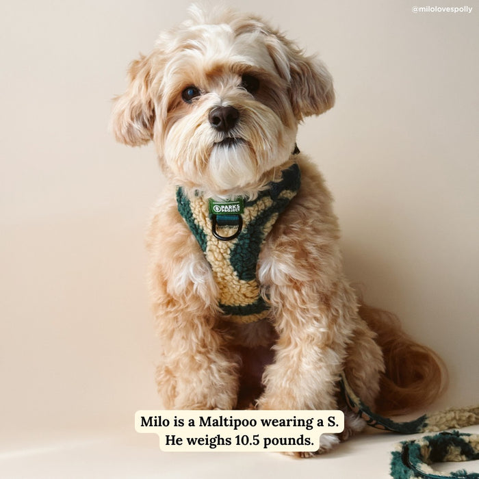 Lucy & Co. x Parks Project Geyser Fleece No-Pull Harness
