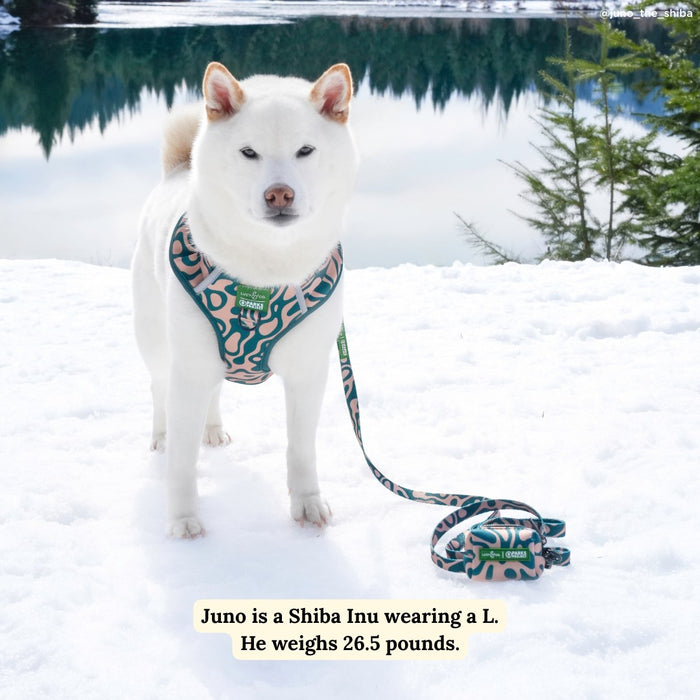 Lucy & Co. x Parks Project Geyser Leash