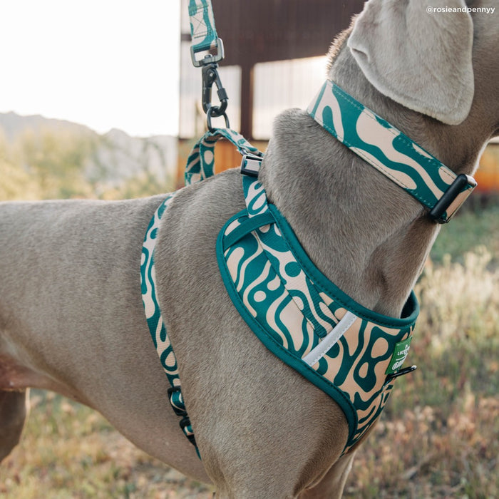 Lucy & Co. x Parks Project Geyser No-Pull Harness