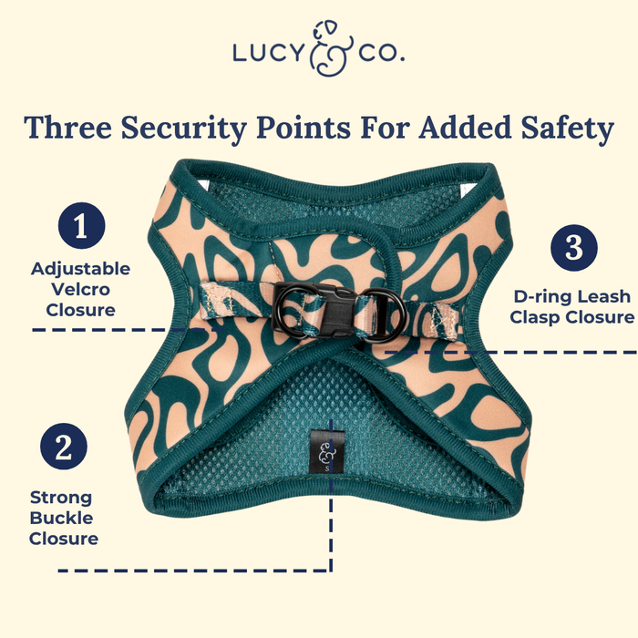 Lucy & Co. x Parks Project Geyser Step-in Cat Harness