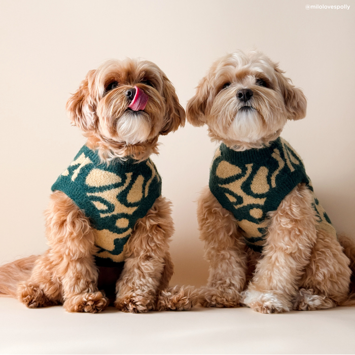Lucy & Co. x Parks Project Geyser Sweater