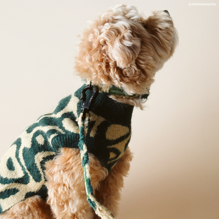 Lucy & Co. x Parks Project Geyser Sweater