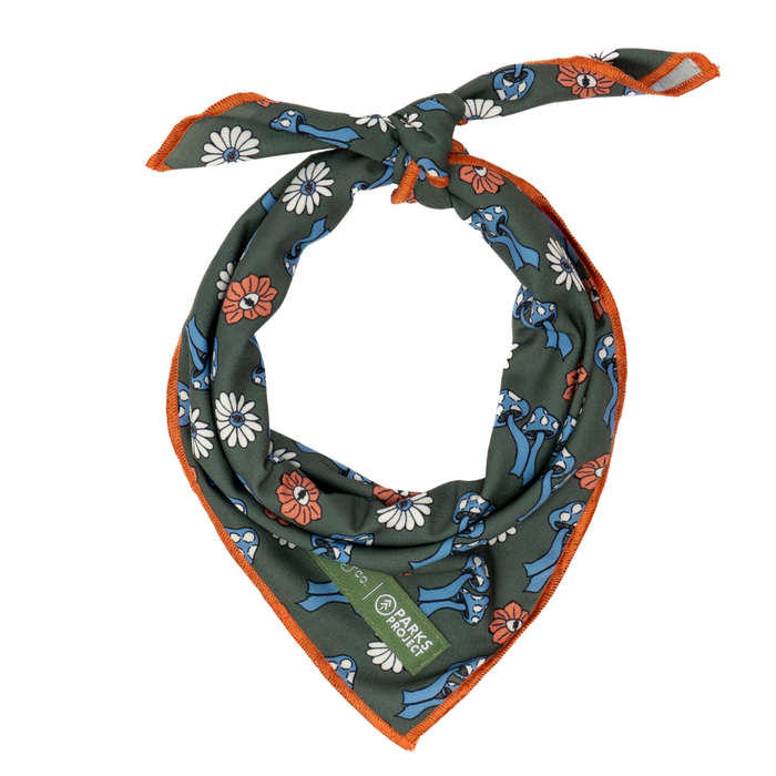 Lucy & Co. x Parks Project Power to the Parks Bandana
