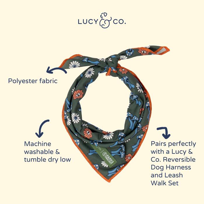 Lucy & Co. x Parks Project Power to the Parks Bandana