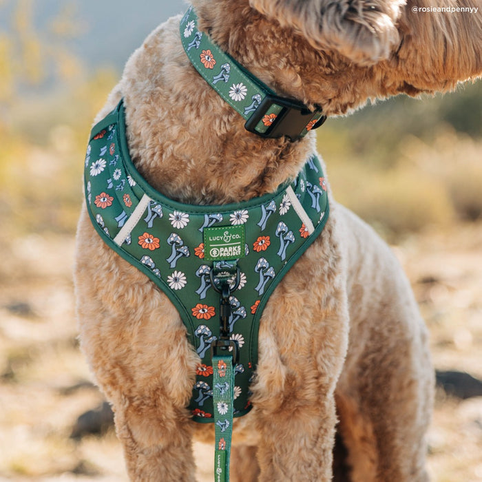 Lucy & Co. x Parks Project Power to the Parks Collar