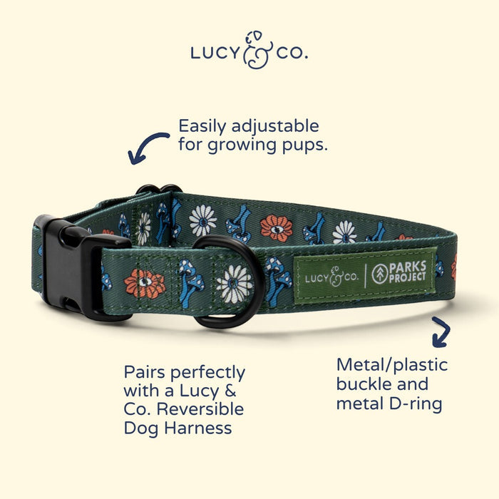 Lucy & Co. x Parks Project dog collar in dark green polyester with a floral and mushroom print and black hardware.