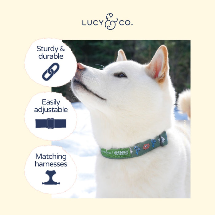 Lucy & Co. x Parks Project Power to the Parks Collar