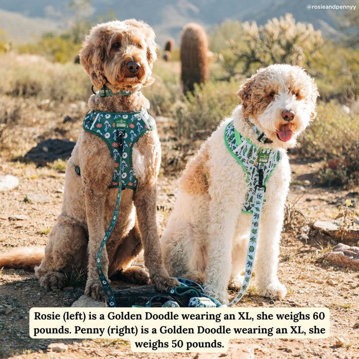 Lucy & Co. x Parks Project Power to the Parks No-Pull Harness