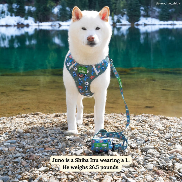 Lucy & Co. x Parks Project Power to the Parks No-Pull Harness