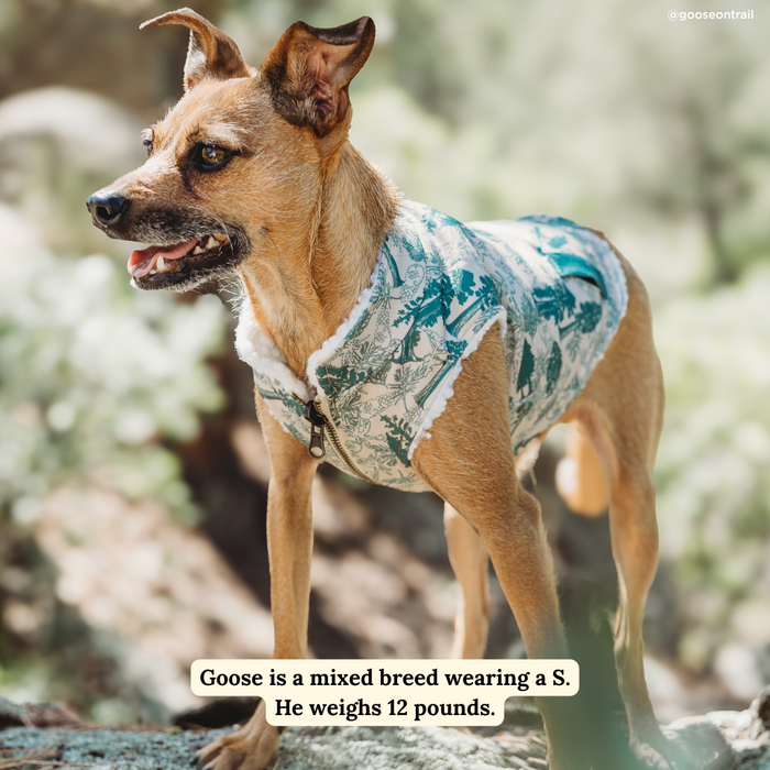 Lucy & Co. x Parks Project Sequoia Seedlings Canvas Vest