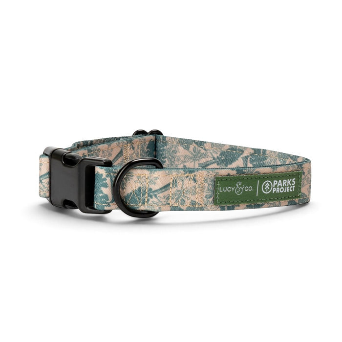 Lucy & Co. x Parks Project Sequoia Seedlings dog collar in forest green tree print with durable black hardware.