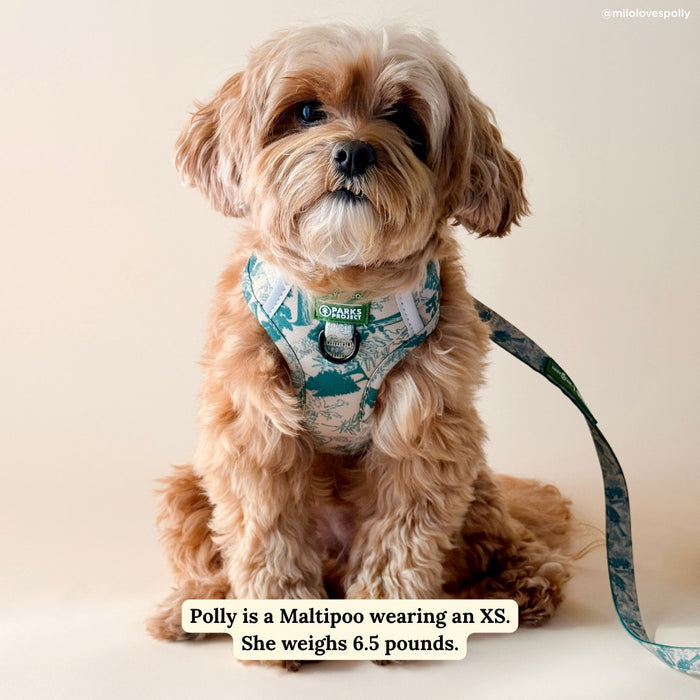 Lucy & Co. x Parks Project Sequoia Seedlings No-Pull Harness