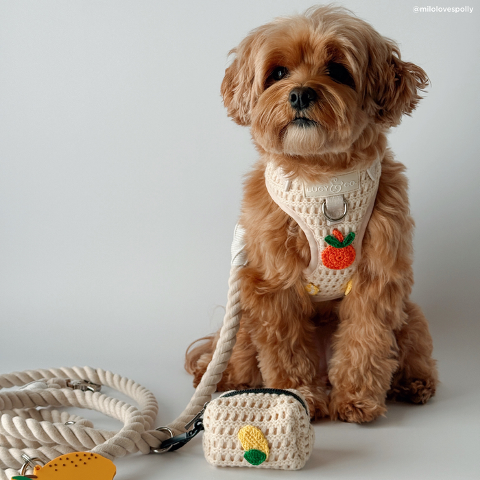 Main Squeeze Crochet Poop Bag Holder