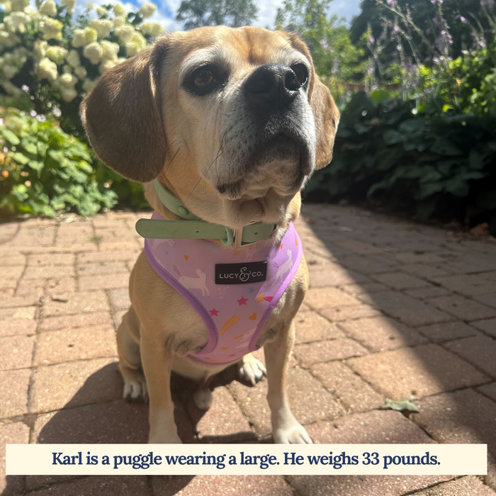 Making Magic Reversible Harness