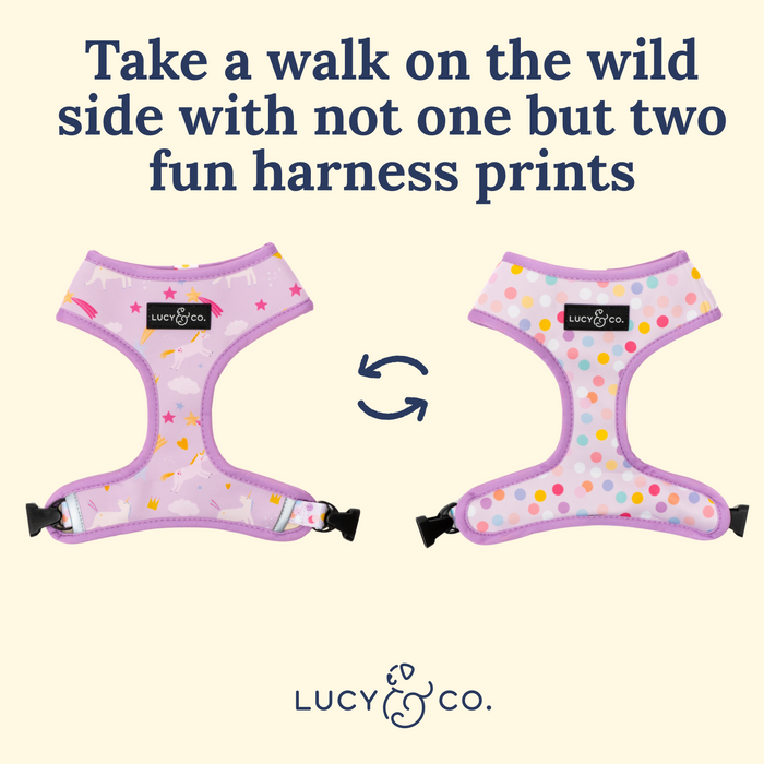 Making Magic Reversible Harness