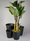 Manhattan Black Light Weight PVC Rolled Rim Planter Decor Jamali Garden