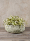 Mesquite Chalk Stone Moss Green Low Bowl Decor Jamali Garden 9in Diameter - Small EACH