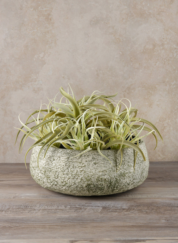 Mesquite Chalk Stone Moss Green Low Bowl Decor Jamali Garden 9in Diameter - Small EACH