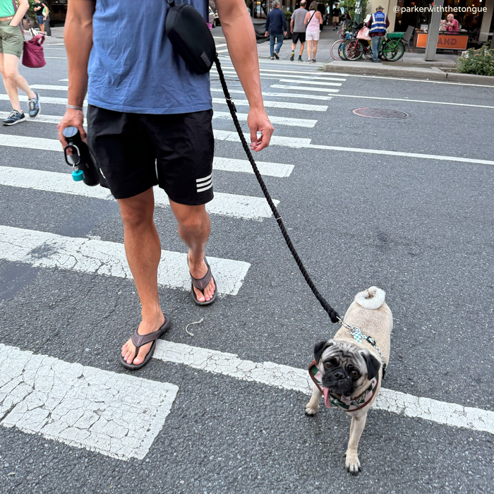 Midnight Hands-Free Rope Leash
