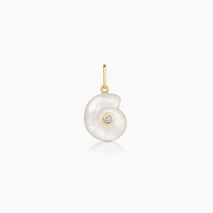 Nautilus Mother Of Pearl Spiral Shell