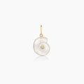 Nautilus Mother Of Pearl Spiral Shell