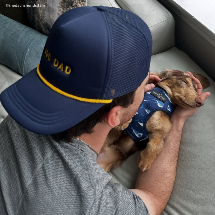 Navy Dog Dad Trucker Hat