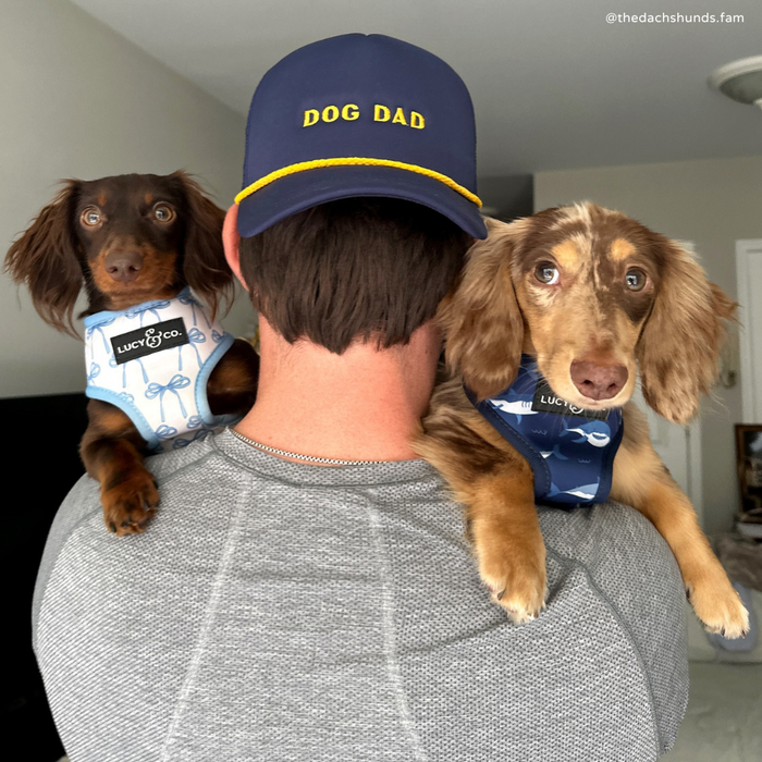 Navy Dog Dad Trucker Hat