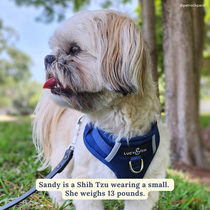 Navy No-Pull Harness