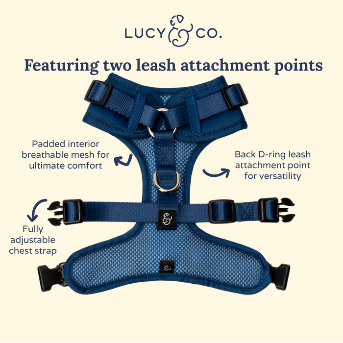 Navy No-Pull Harness