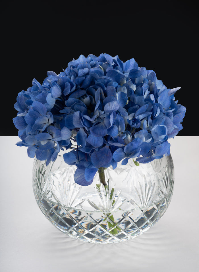 Nuage Cut Work Glass Fishbowl Decor Jamali Garden