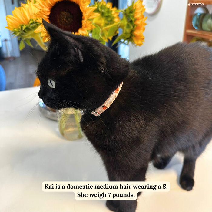 Oh My Gourd Breakaway Cat Collar