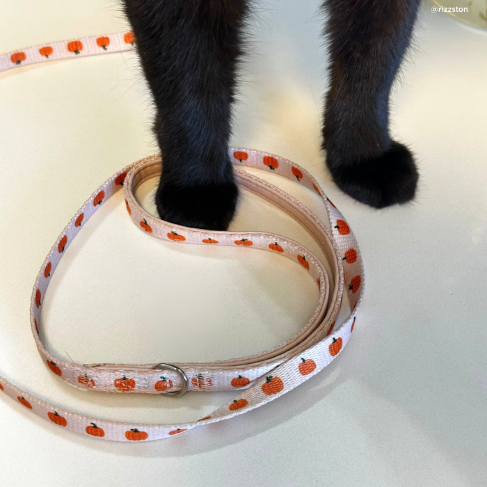 Oh My Gourd Cat Leash