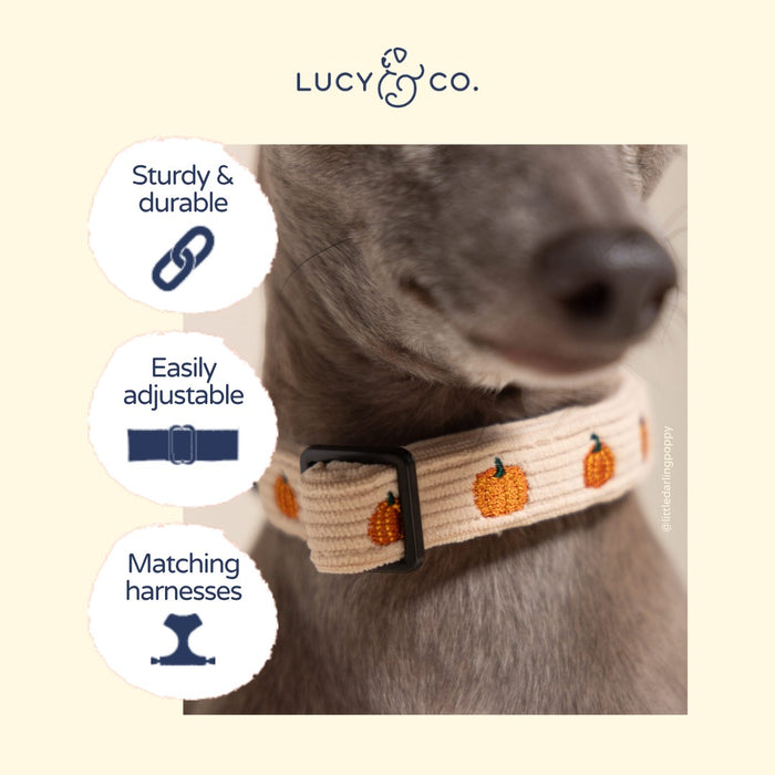 Oh My Gourd Corduroy Collar