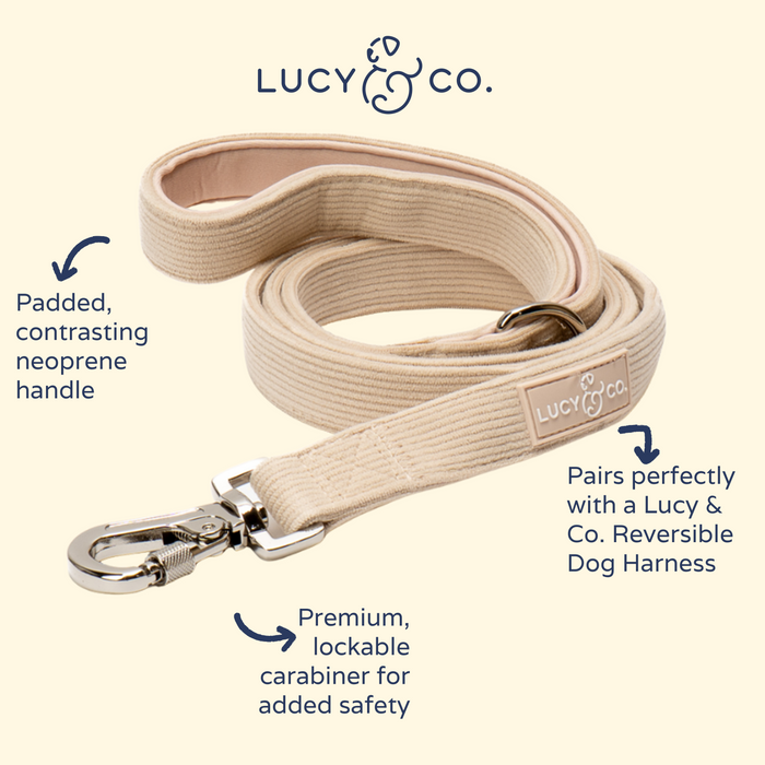 Oh My Gourd Corduroy Leash