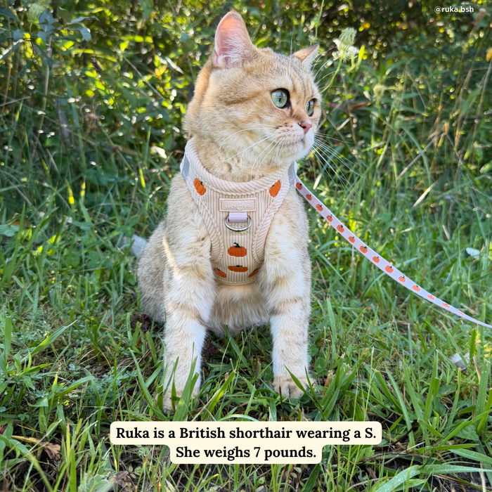Oh My Gourd Corduroy Step-in Cat Harness