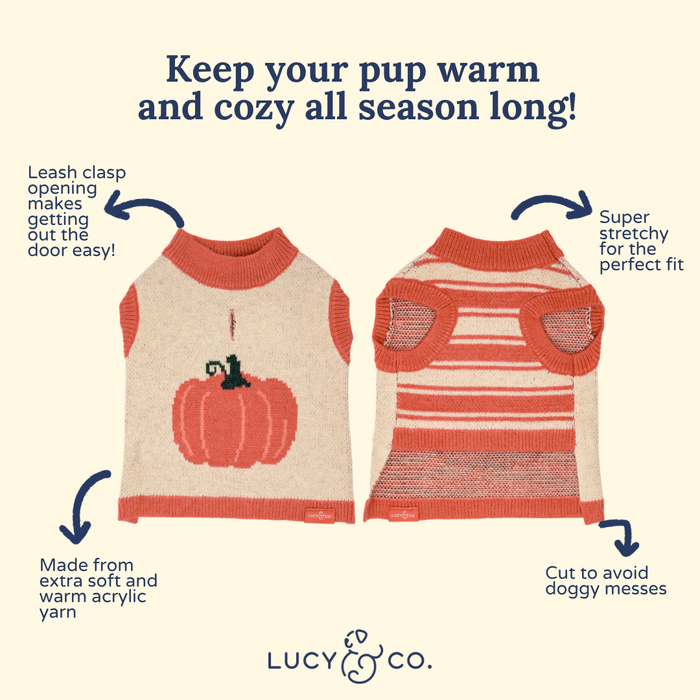 Oh My Gourd Sweater