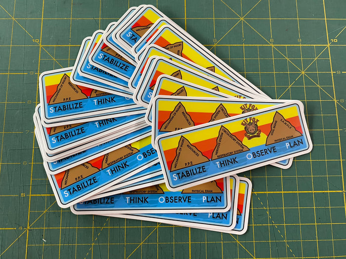Patient Assessment System Sticker