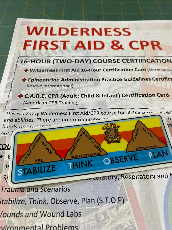 Patient Assessment System Sticker