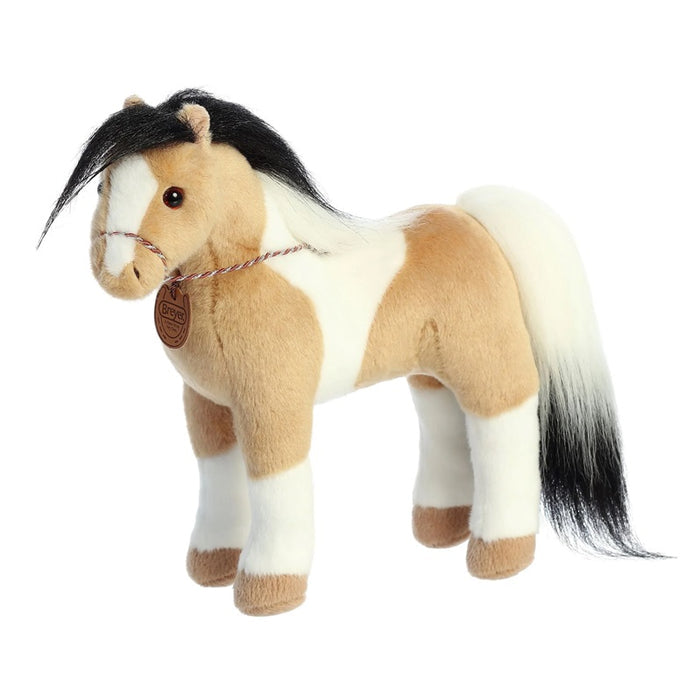 Pinto Horse