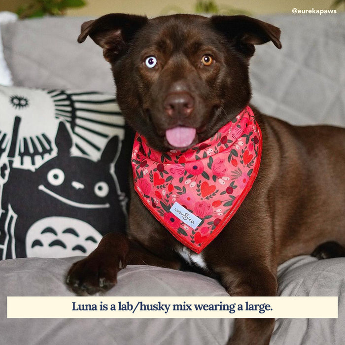 Posy Pink Bandana